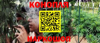 хмурый Обь
