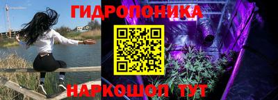 хмурый Обь