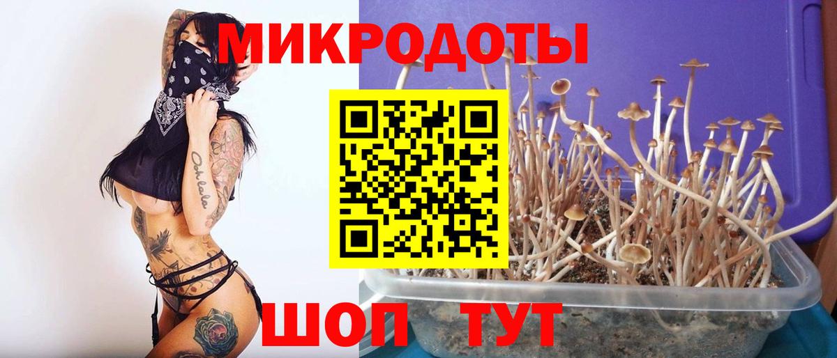 Псилоцибиновые грибы GOLDEN TEACHER Свободный
