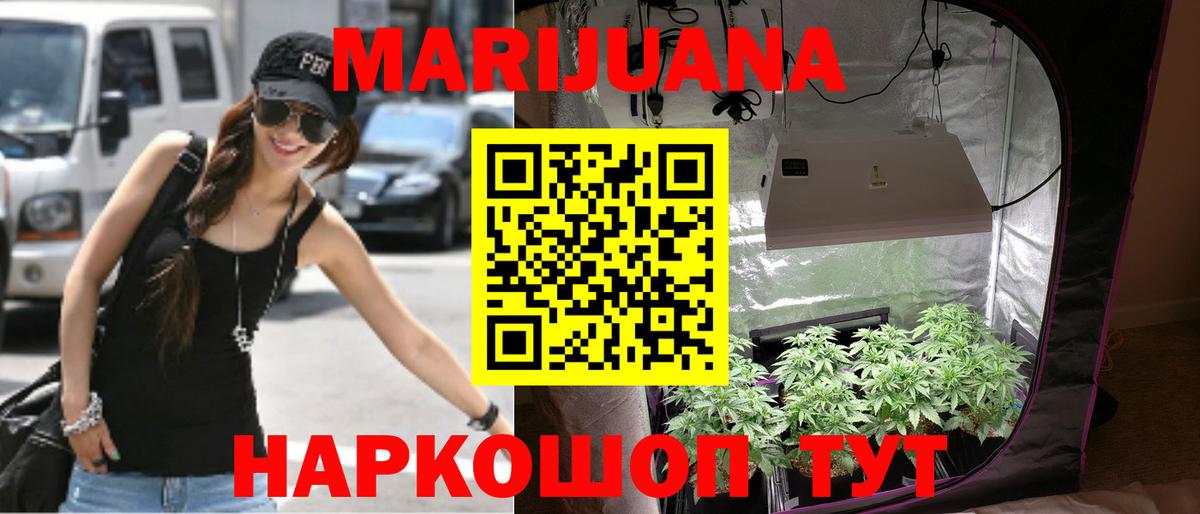 Канабис SATIVA & INDICA  Марихуана Bruce Banner  Вход с VPN  Шишки марихуана семена  Свободный  Канабис SATIVA & INDICA 