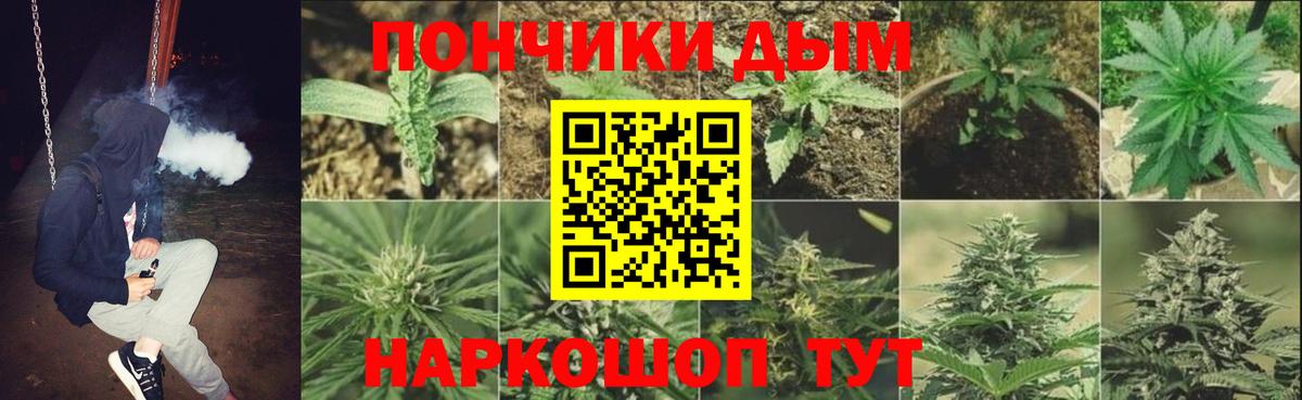 Канабис план Свободный